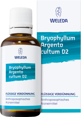 BRYOPHYLLUM ARGENTO cultum D 2 Dilution
