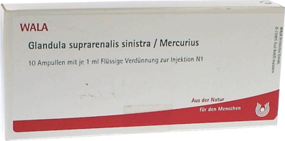 GLANDULA SUPRARENALIS sinistra/Mercurius Ampullen