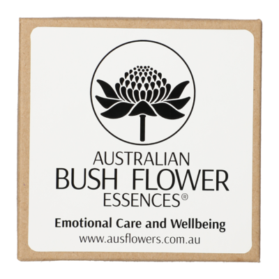 ADULT E Pendant light purple glass