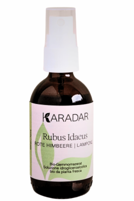 Gemmomazerat Himbeere - Rubus Idaeus bio